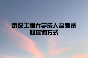 武汉工程大学成人高考录取查询方式