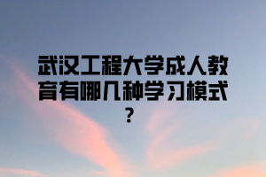 武汉工程大学成人教育有哪几种学习模式？