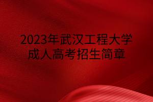 2023年武汉工程大学成人高考招生简章