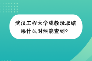 武汉工程大学成教录取结果什么时候能查到？